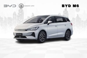 BYD M6
