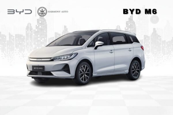 BYD M6
