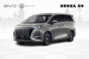 DENZA D9