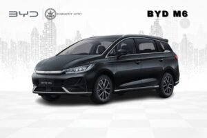 BYD M6